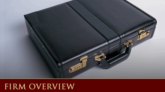 Firm Overview