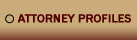 Attorney Profiles